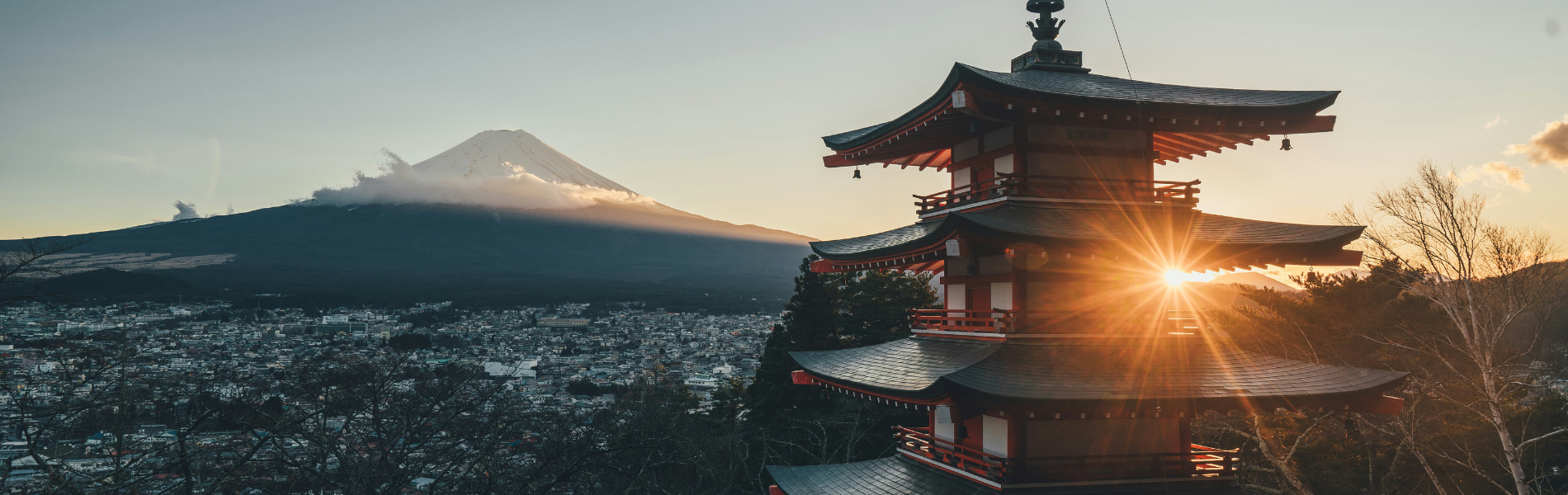 Embark on a Journey to Parenthood: Infertility Treatment Tour in Japan